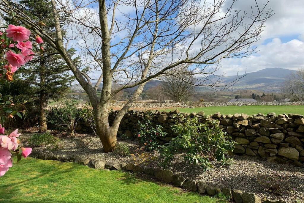 Snowdonia Cabin Caernarfon Exterior photo